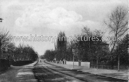 High Road, Buckhurst Hill, Essex. c.1906